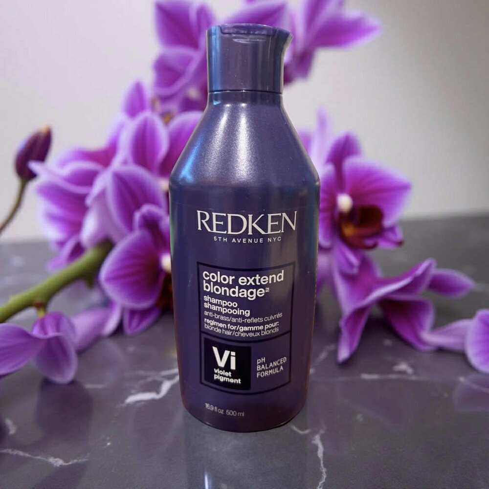 Redken Color Extend Blondage Violet Pigment Shampoo 16.9 oz